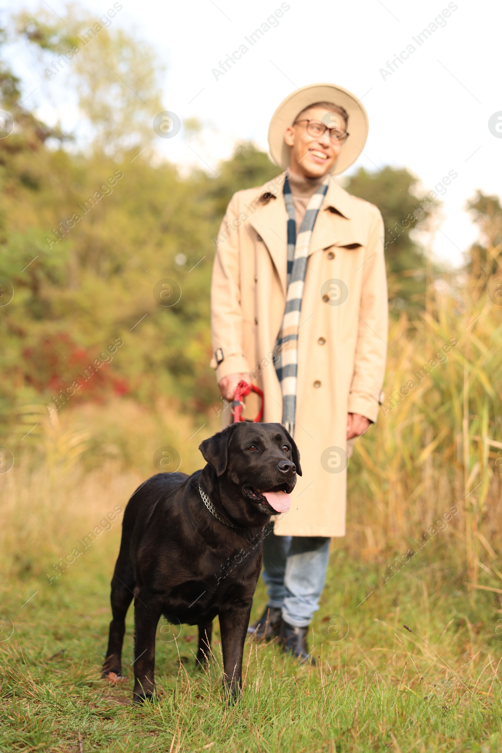 Photo of Smiling man walking with cute dog outdoors on autumn day