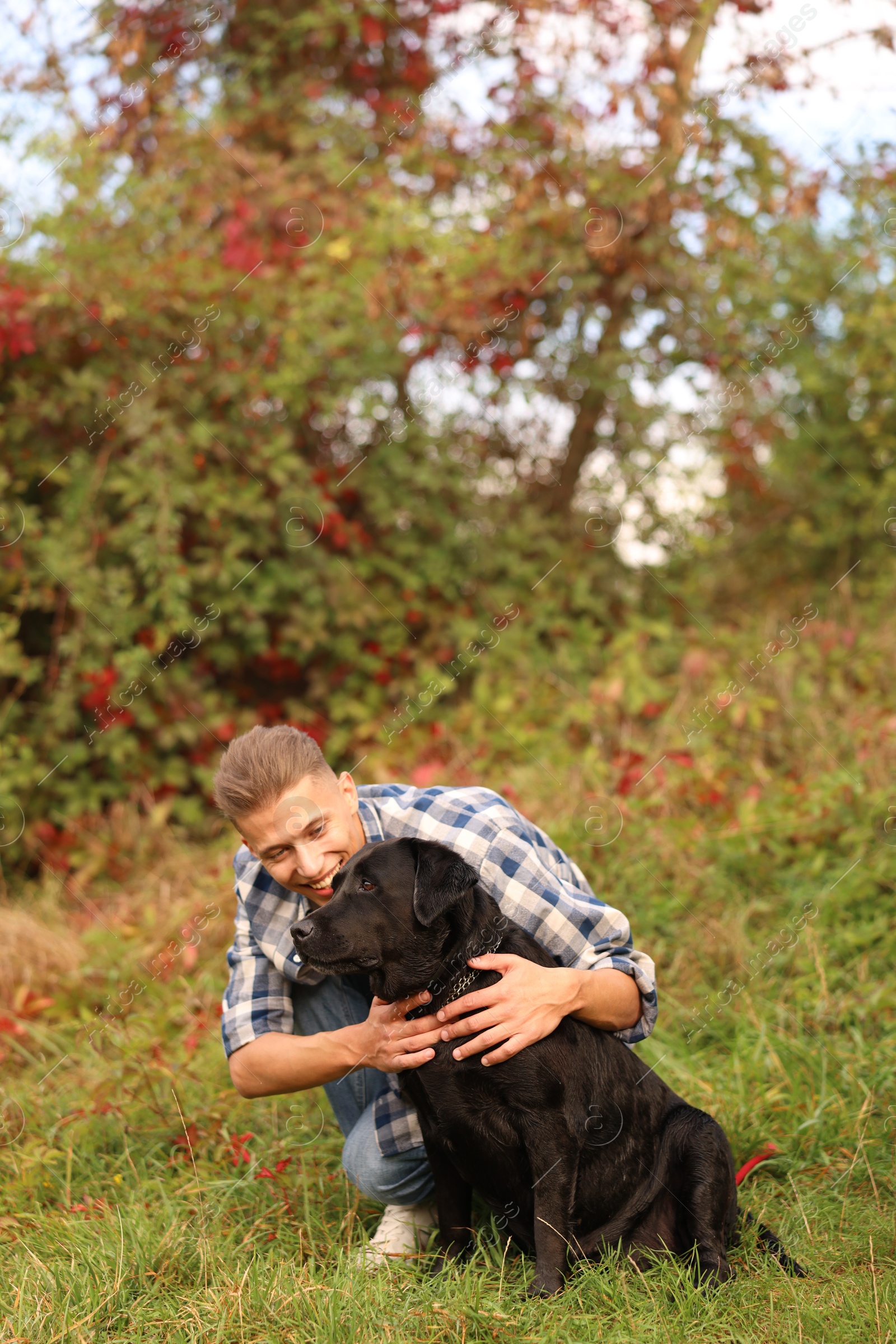 Photo of Smiling man hugging cute dog outdoors on autumn day. Space for text