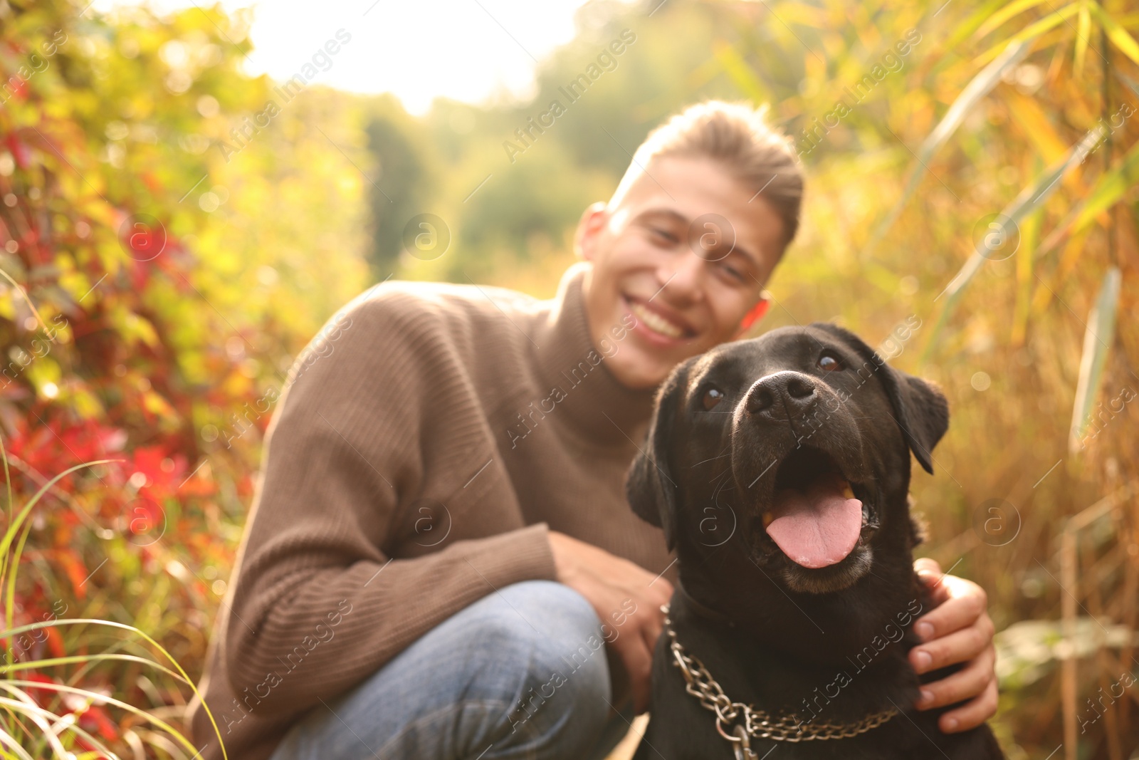 Photo of Portrait of cute dog with smiling owner outdoors, selective focus