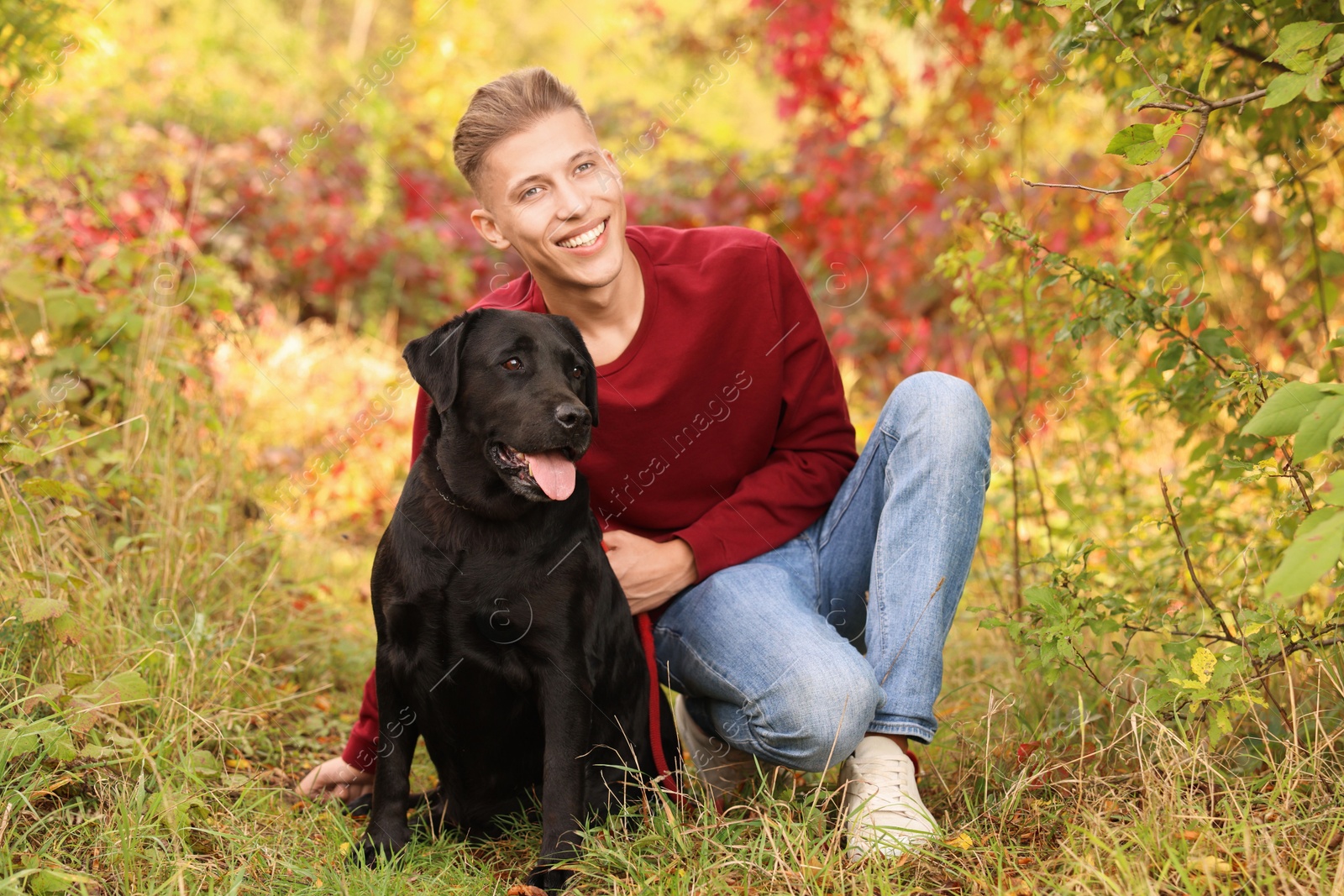 Photo of Smiling man with cute dog outdoors on autumn day