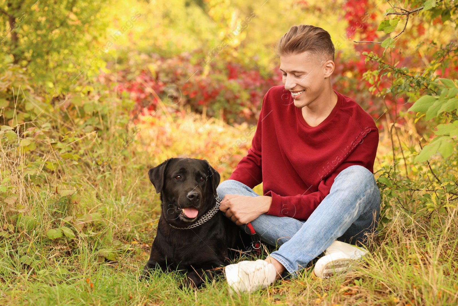 Photo of Smiling man with cute dog outdoors on autumn day. Space for text