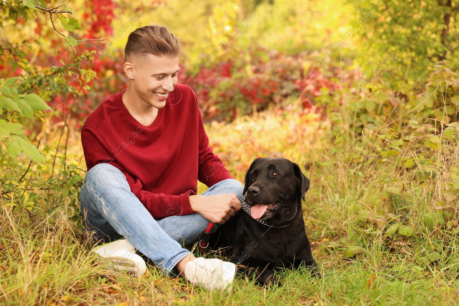 Photo of Smiling man with cute dog outdoors on autumn day. Space for text