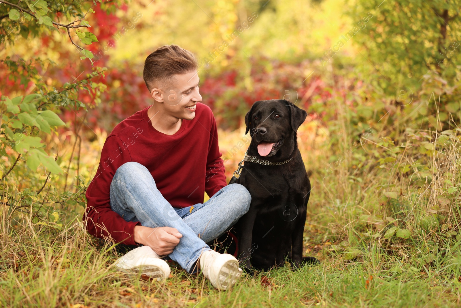 Photo of Smiling man with cute dog outdoors on autumn day