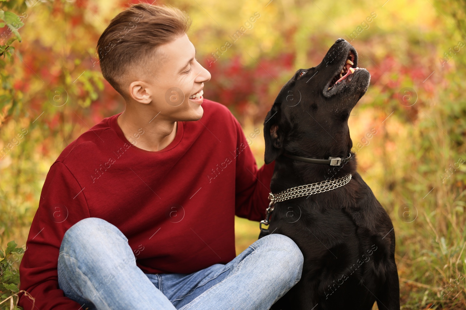 Photo of Smiling man with cute dog outdoors on autumn day