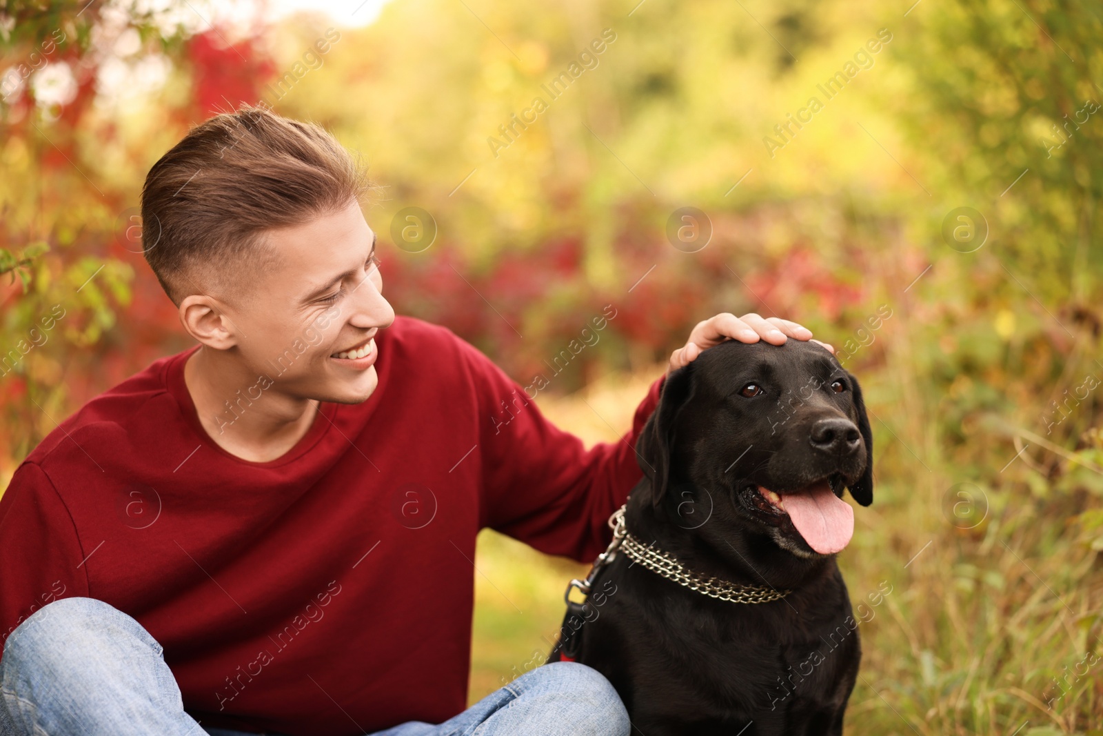 Photo of Smiling man stroking cute dog outdoors on autumn day