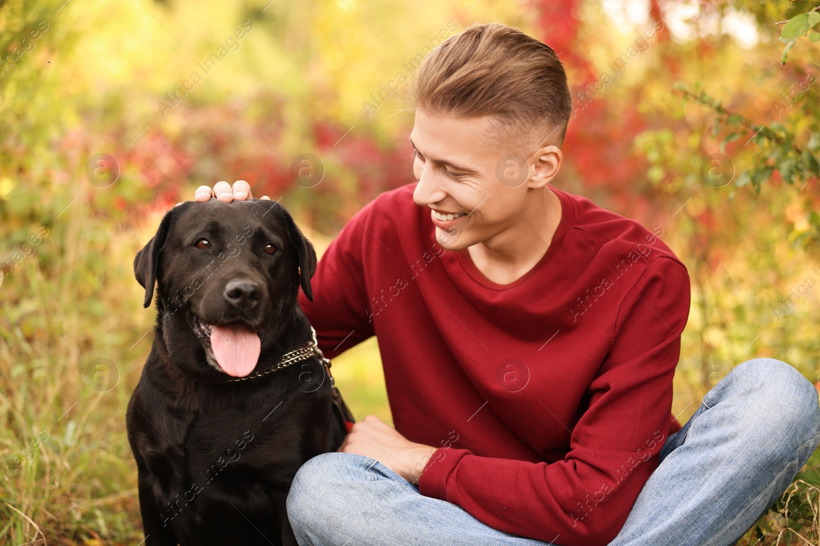 Photo of Smiling man stroking cute dog outdoors on autumn day