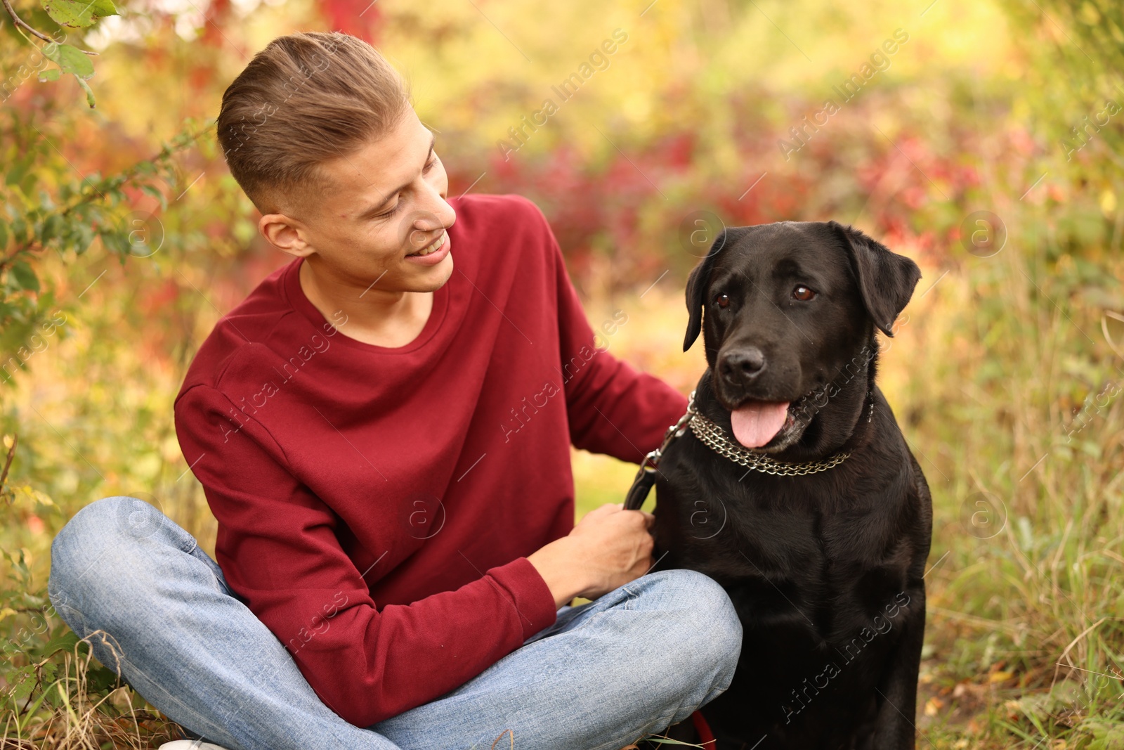 Photo of Smiling man with cute dog outdoors on autumn day