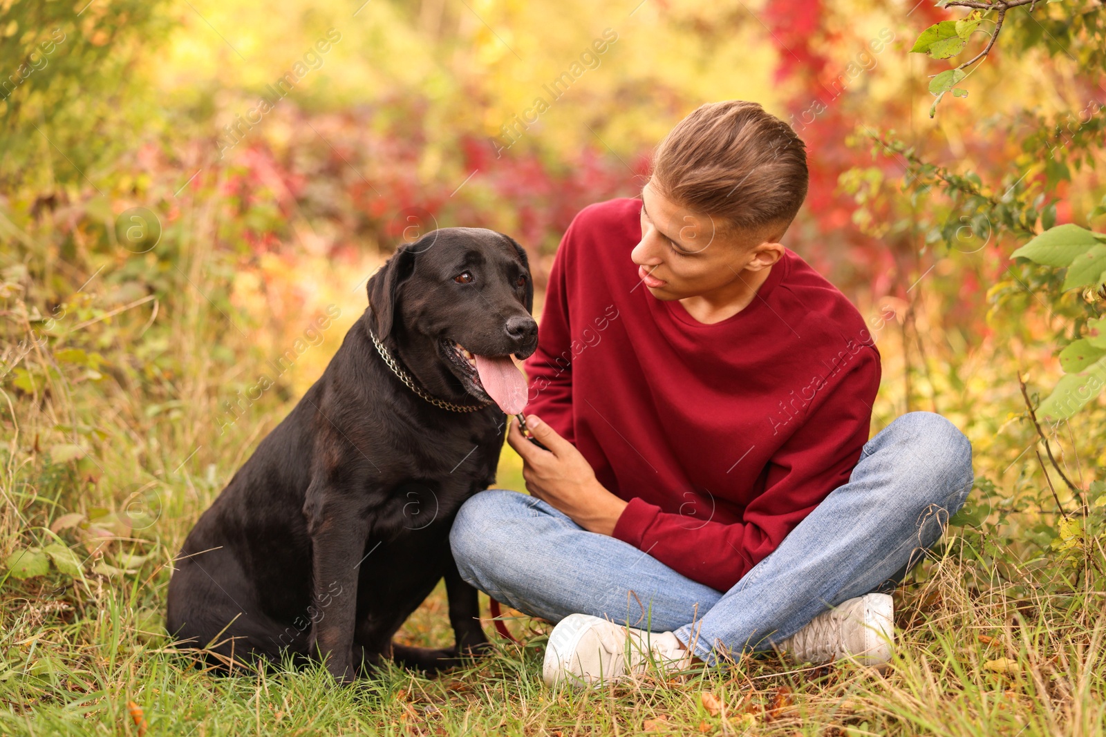 Photo of Man with cute dog outdoors on autumn day