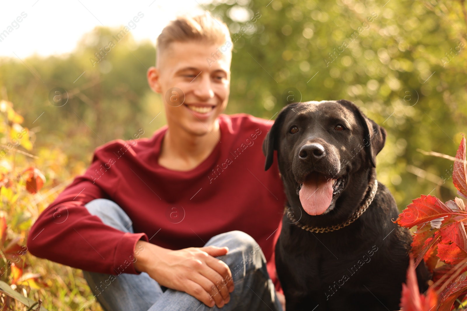 Photo of Smiling man with cute dog outdoors on autumn day, selective focus