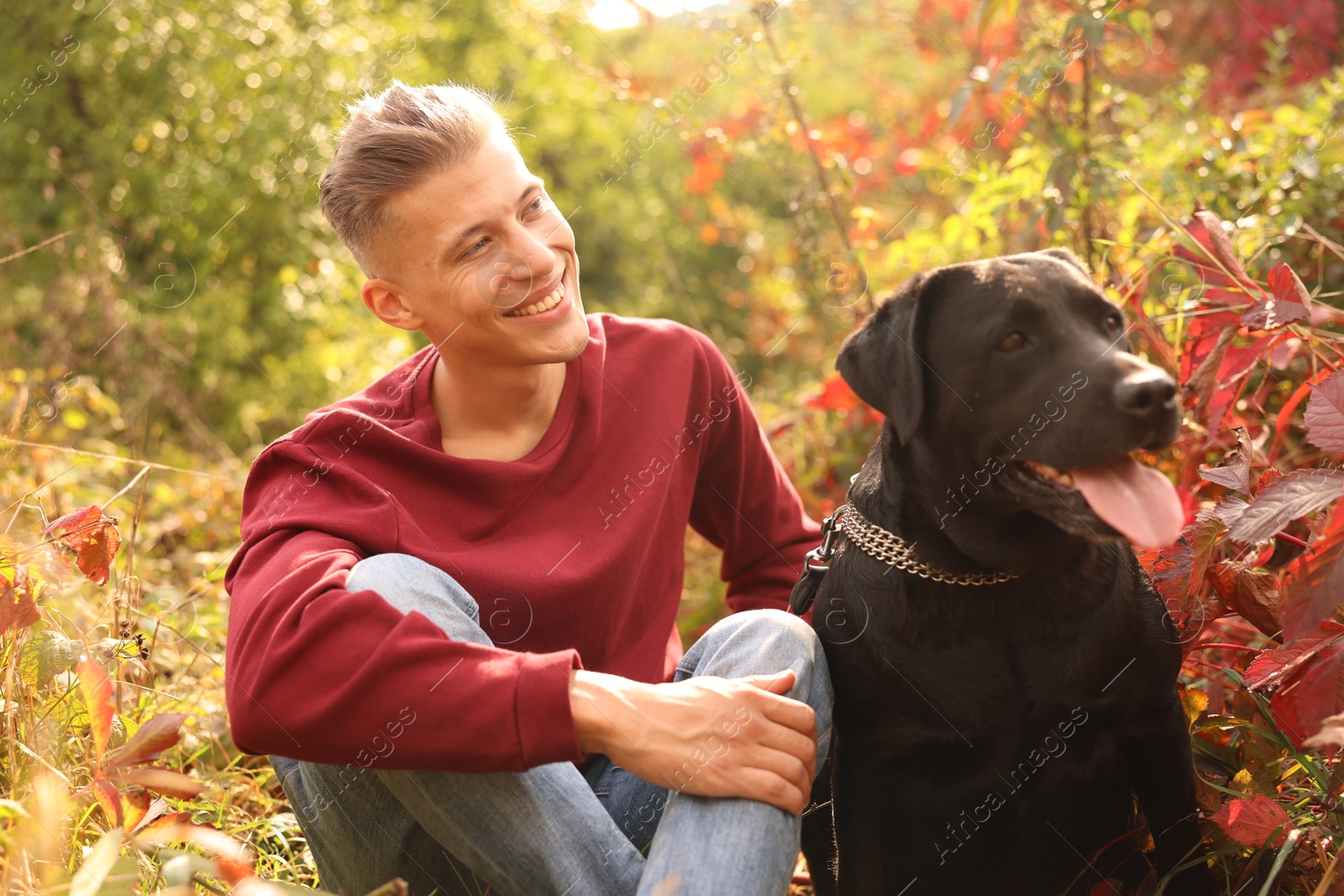 Photo of Smiling man with cute dog outdoors on autumn day