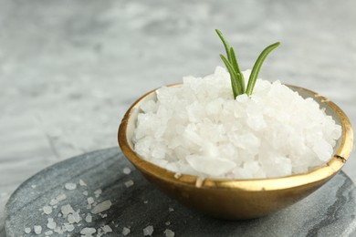 Sea salt and rosemary in bowl on gray table, closeup