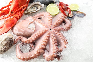 Photo of Whole fresh raw octopus, lobster and other sea food on ice, closeup