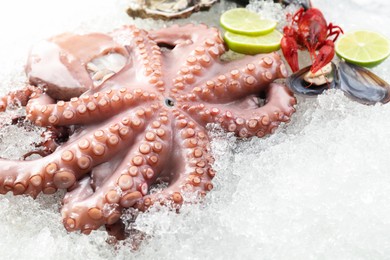 Photo of Whole fresh raw octopus and other sea food on ice, closeup