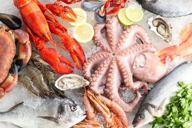 Photo of Fresh raw octopus, lobster and other sea food on ice, top view