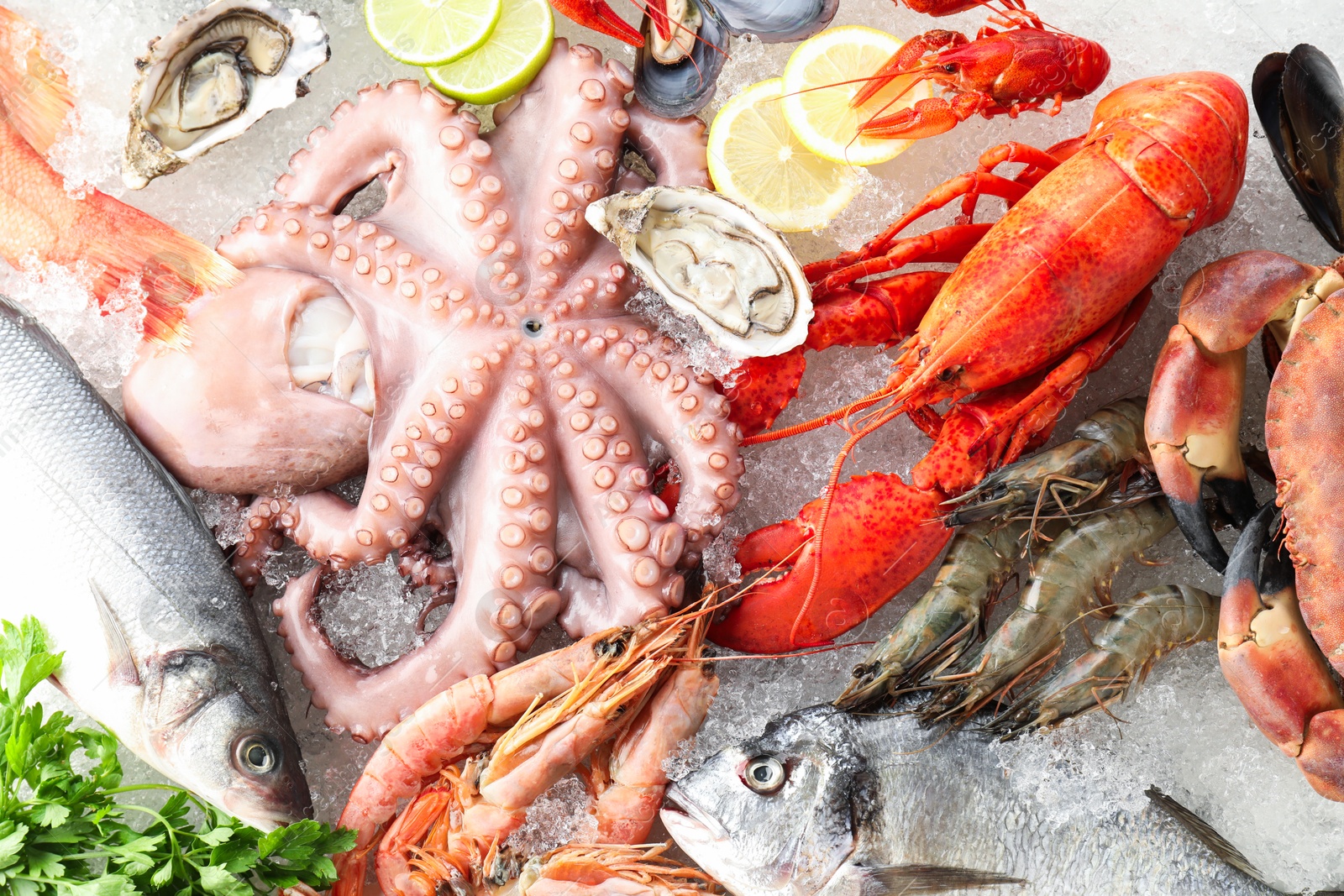 Photo of Fresh raw octopus, lobster and other sea food on ice, top view