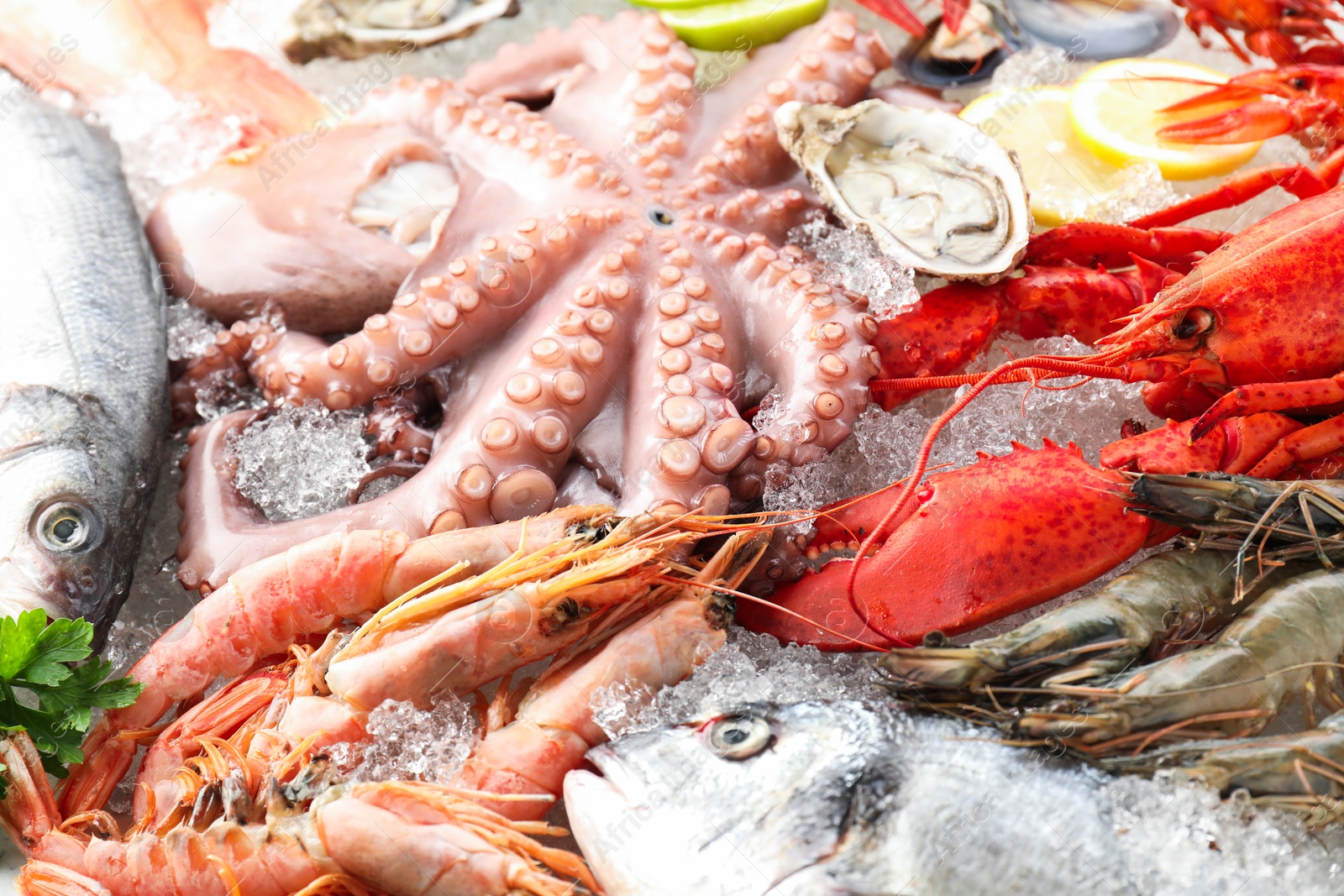 Photo of Whole fresh raw octopus, lobster and other sea food on ice, closeup