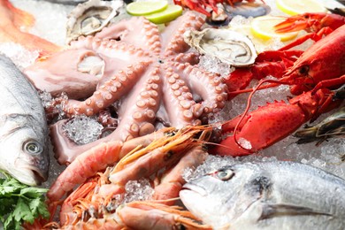 Photo of Whole fresh raw octopus, lobster and other sea food on ice, closeup