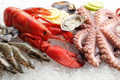 Photo of Whole fresh raw octopus, lobster and other sea food on ice, closeup