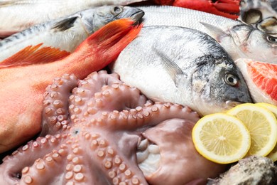 Photo of Whole fresh raw octopus, fish and other sea food as background, closeup