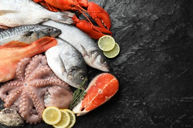 Fresh raw octopus, fish and other sea food on black table, top view. Space for text