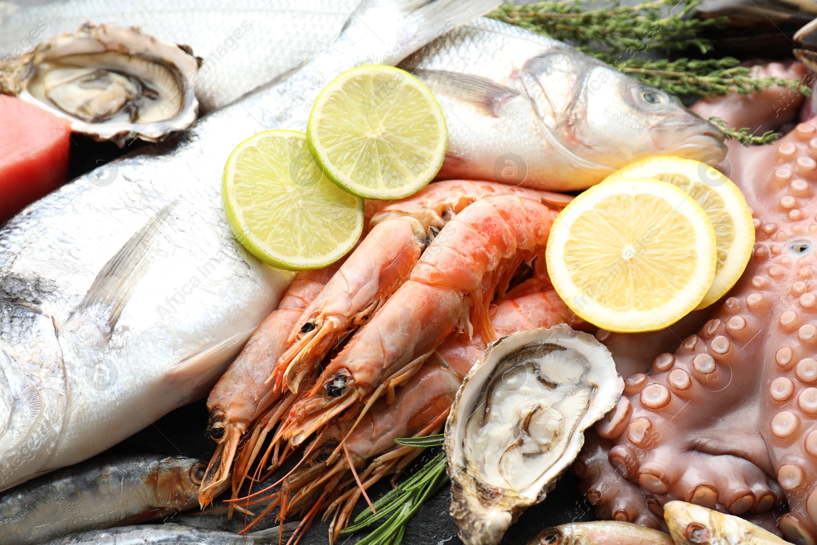 Photo of Whole fresh raw octopus and other sea food as background, closeup