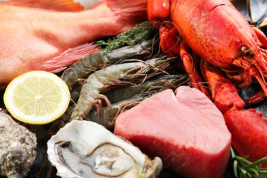 Photo of Whole fresh raw lobster and other sea food as background, closeup