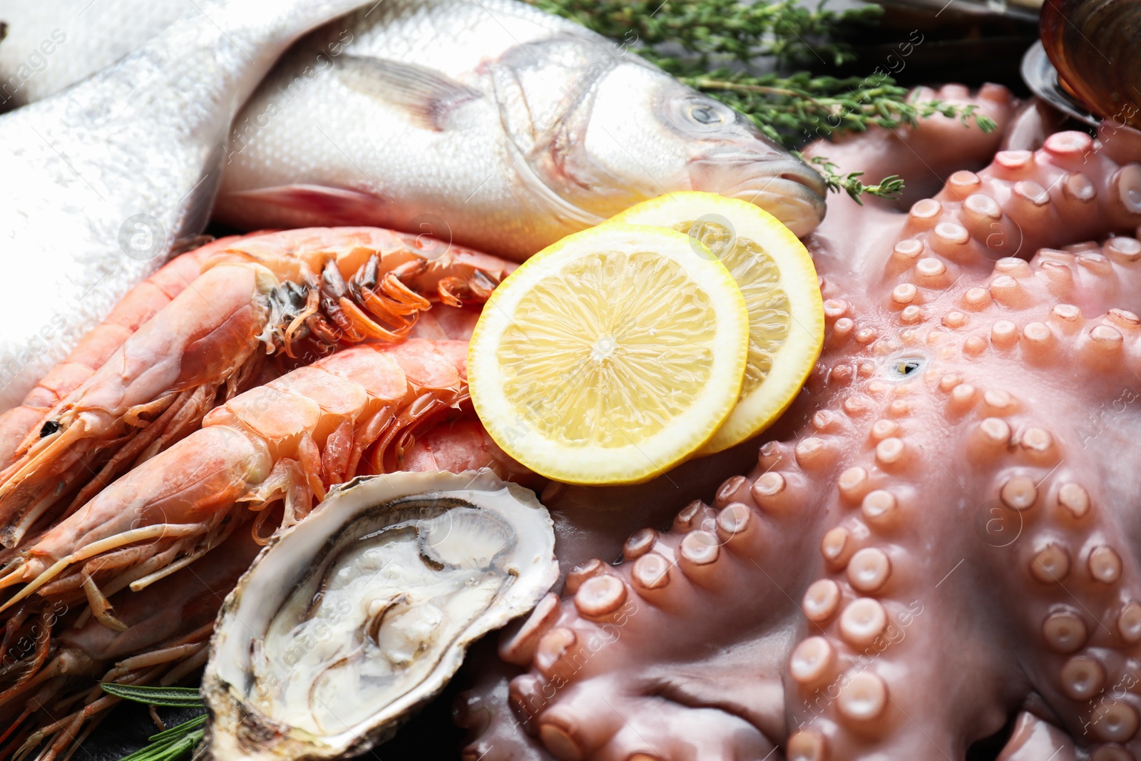 Photo of Whole fresh raw octopus and other sea food as background, closeup