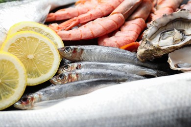 Fresh fish and different sea food on table, closeup