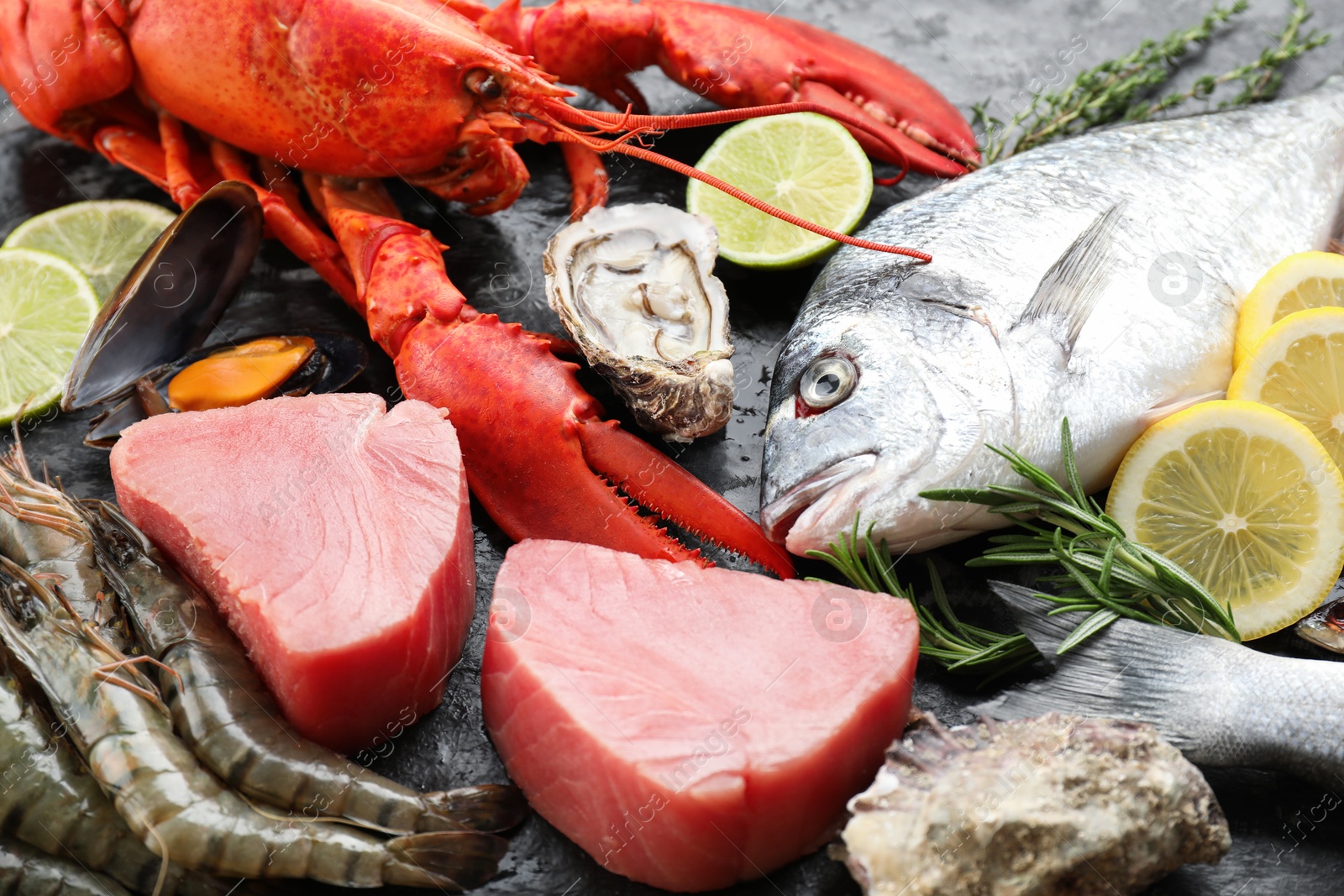 Photo of Fresh fish, lobster and other sea food on table, closeup