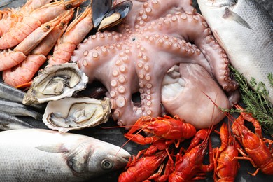 Photo of Whole fresh raw octopus, fish and other sea food on table, top view