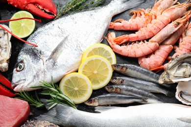 Photo of Fresh fish and different sea food on table, top view