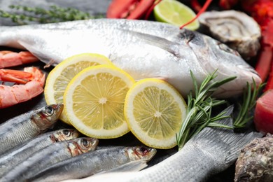 Fresh fish and different sea food on table, closeup