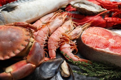 Photo of Fresh salmon steak, shrimps and other sea food on table, closeup