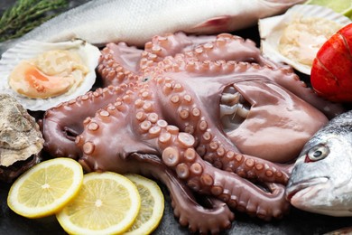 Whole fresh raw octopus and different sea food as background, closeup