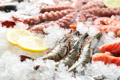 Photo of Whole fresh raw octopus, shrimps and different sea food on ice, closeup