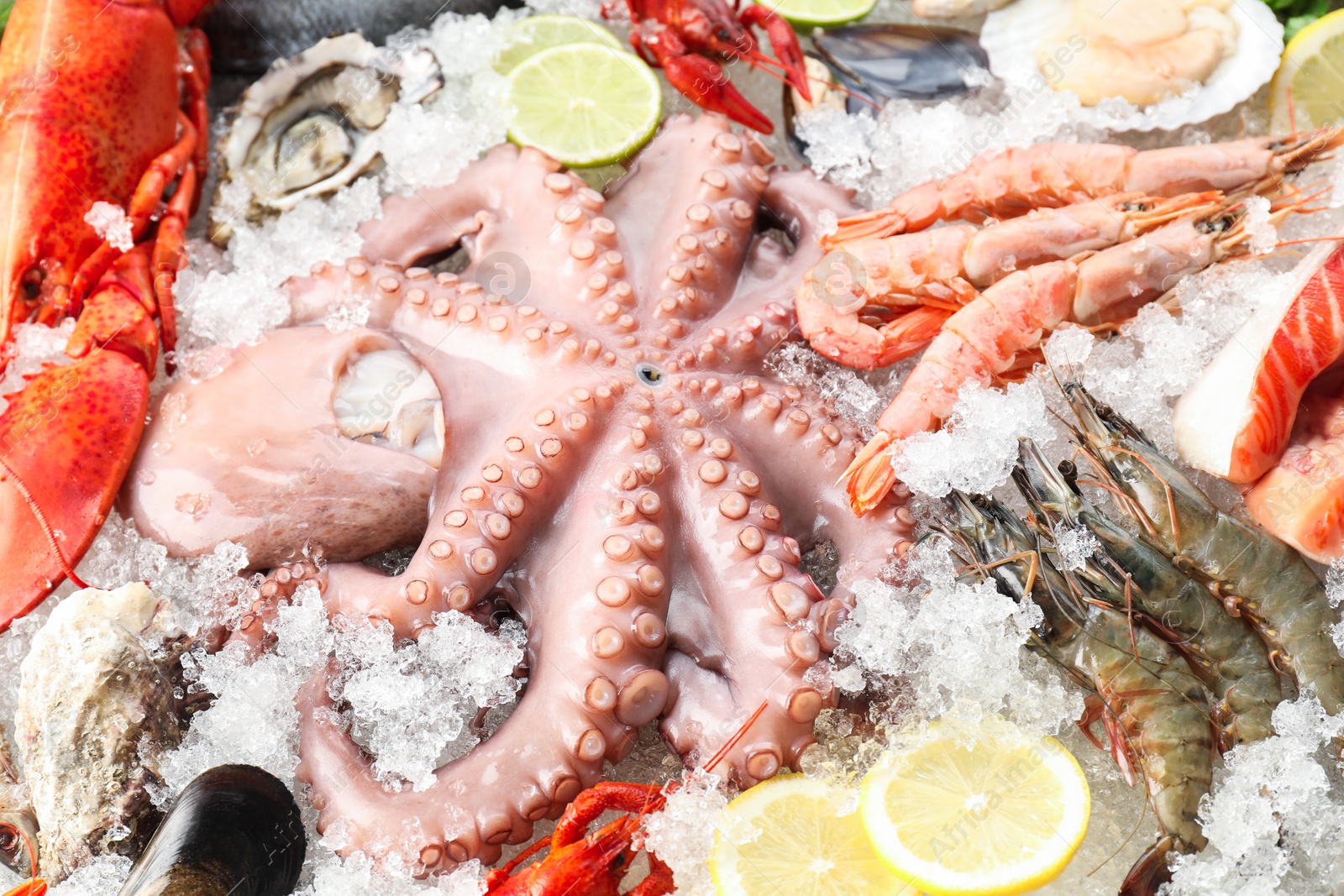 Photo of Whole fresh raw octopus, shrimps and different sea food on ice, closeup