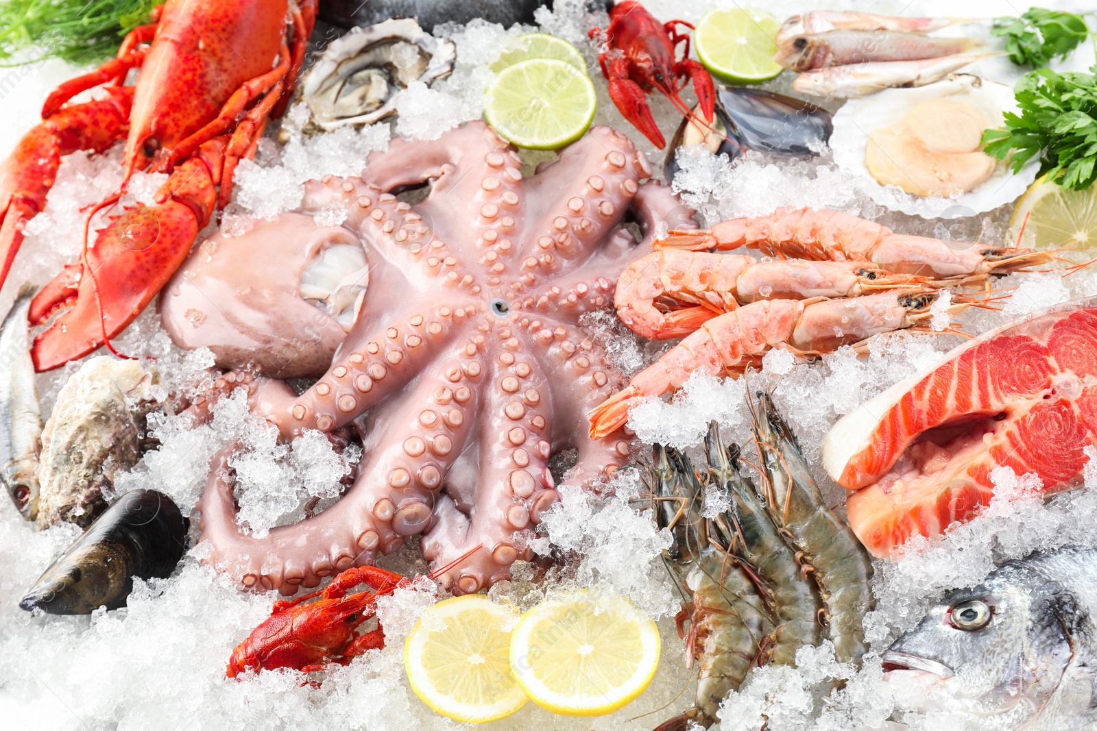 Photo of Whole fresh raw octopus, shrimps and different sea food on ice, closeup