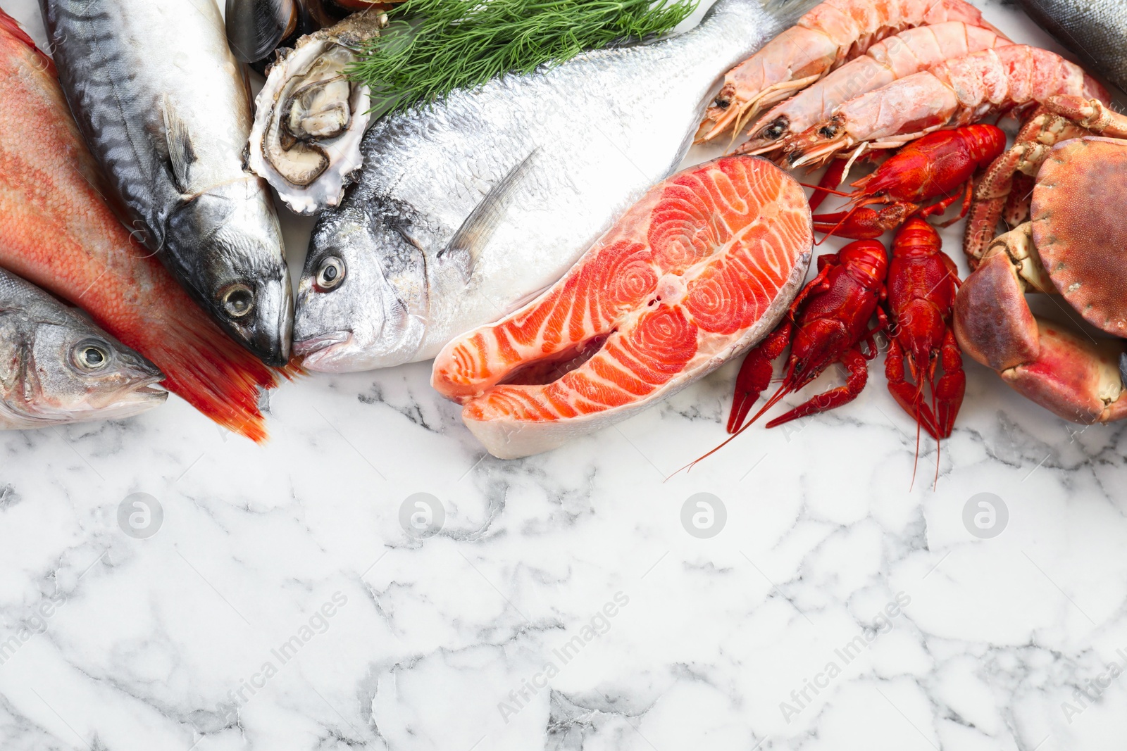 Photo of Different sea food on white table, top view. Space for text