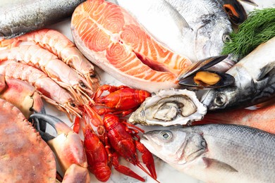 Different sea food on white table, top view