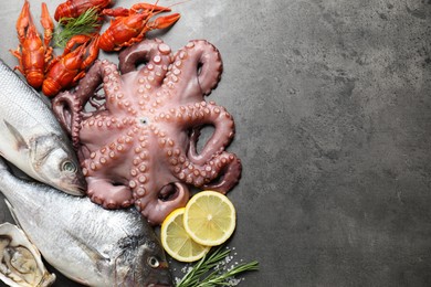 Different sea food on grey table, flat lay. Space for text