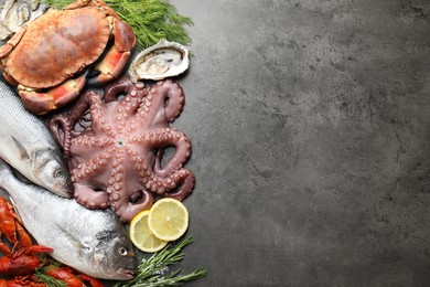 Photo of Different sea food on grey table, flat lay. Space for text