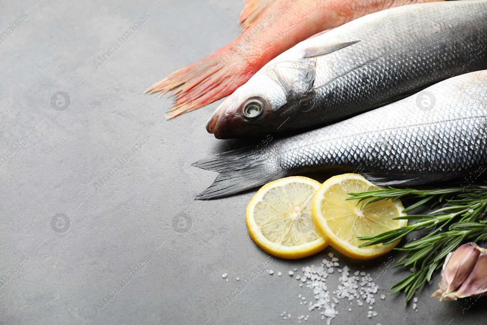 Photo of Different fishes and spices on grey table, top view with space for text. Sea food