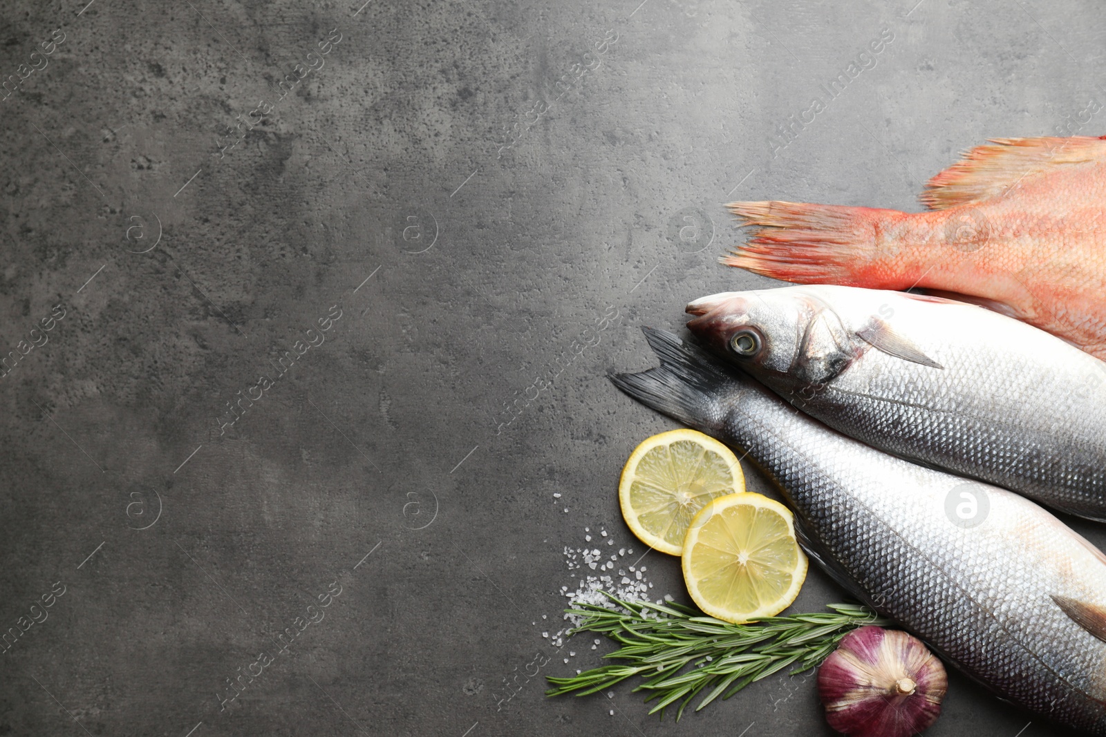 Photo of Different fishes and spices on grey table, top view with space for text. Sea food