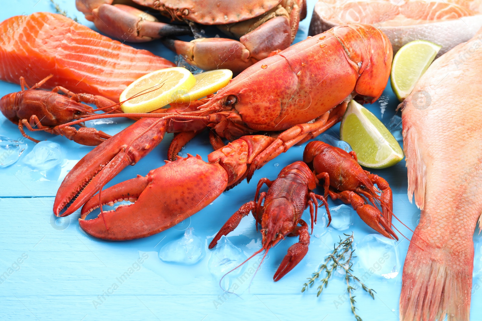 Photo of Different sea food on light blue wooden table, closeup