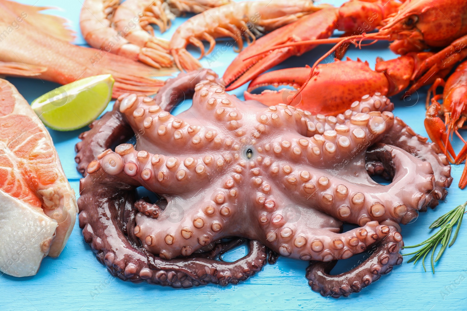 Photo of Different sea food on light blue wooden table, closeup