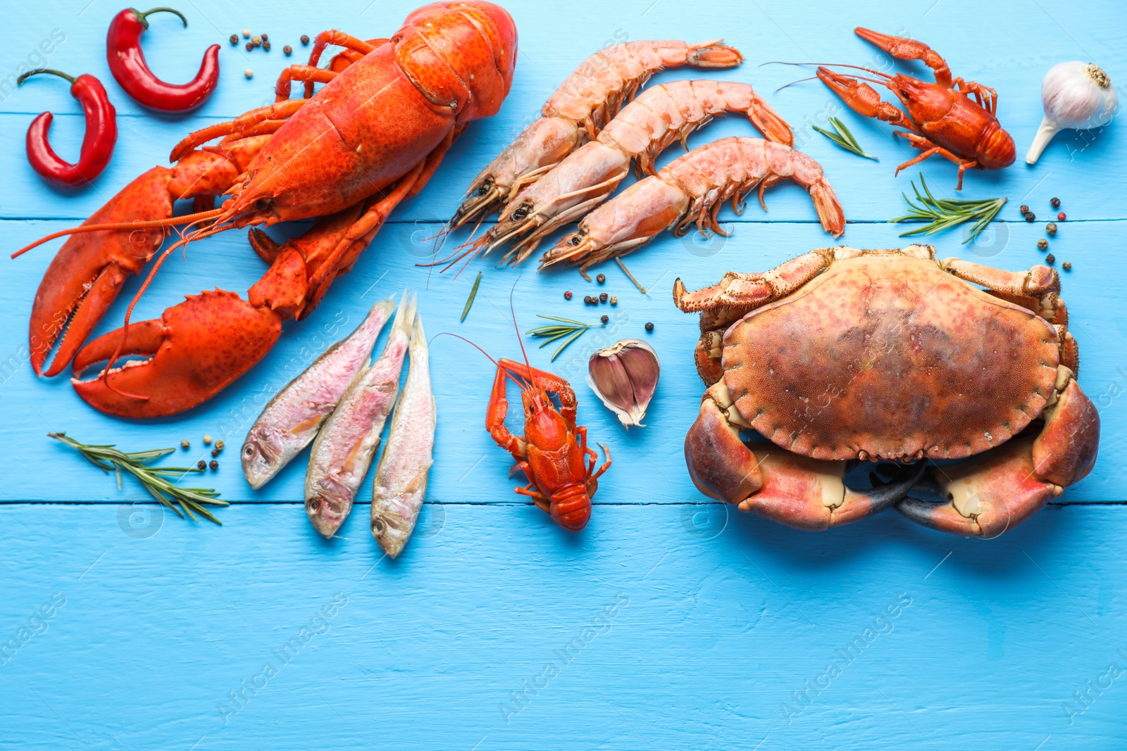 Photo of Different sea food on light blue wooden table, flat lay