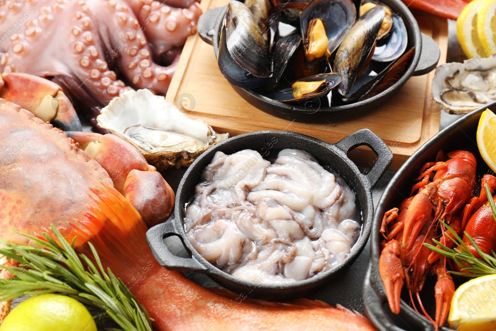 Photo of Many different sea food on table, closeup