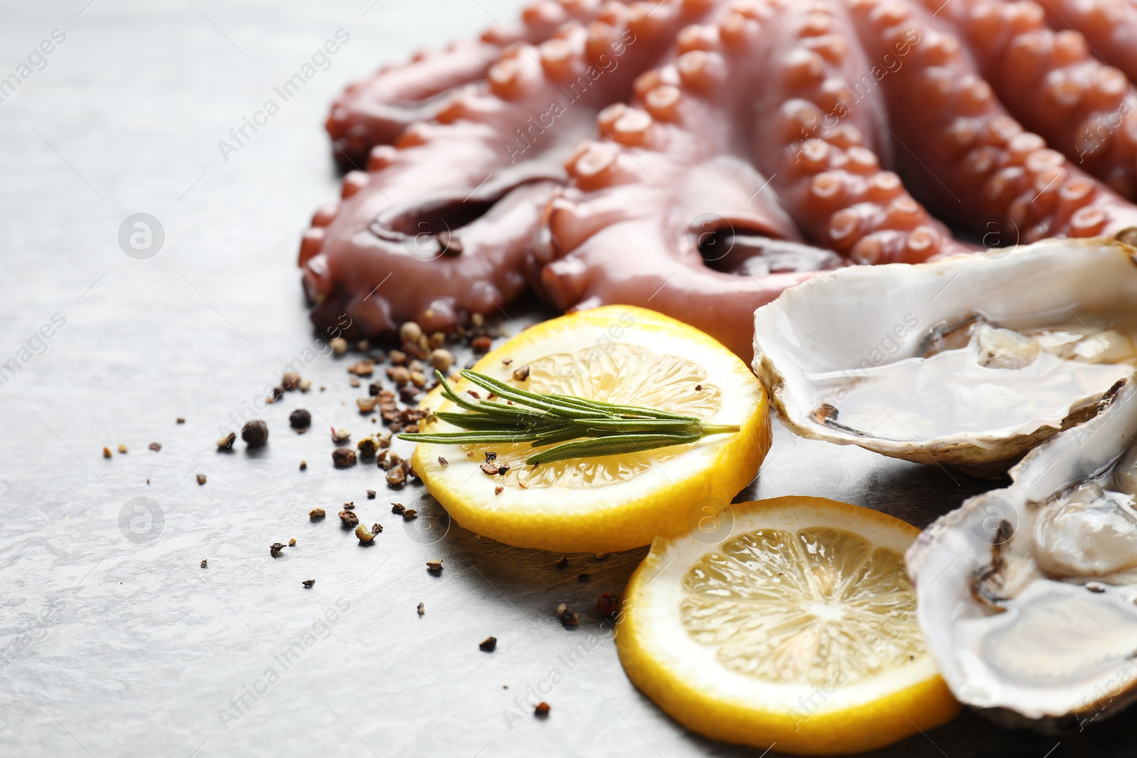 Photo of Oysters, octopus and spices on grey table, closeup. Sea food