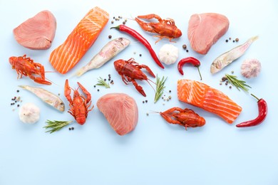 Many different sea food and spices on light blue background, flat lay