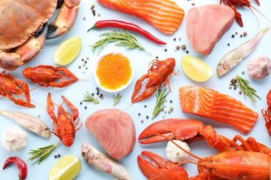 Photo of Many different sea food and spices on light blue background, flat lay